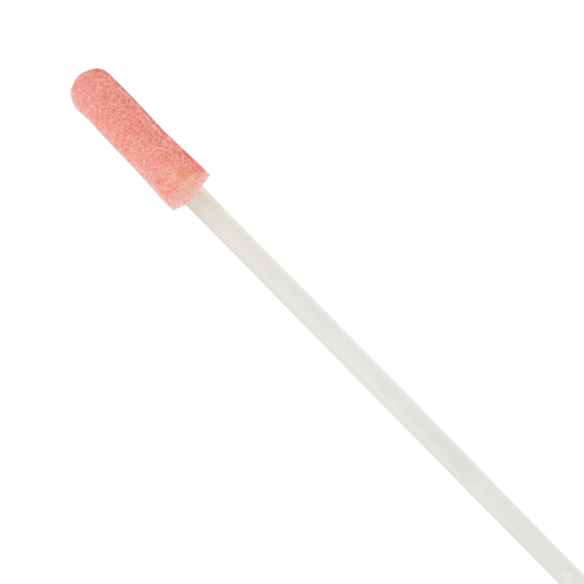 Cleaning Stick/Swab 1273-PF ESD